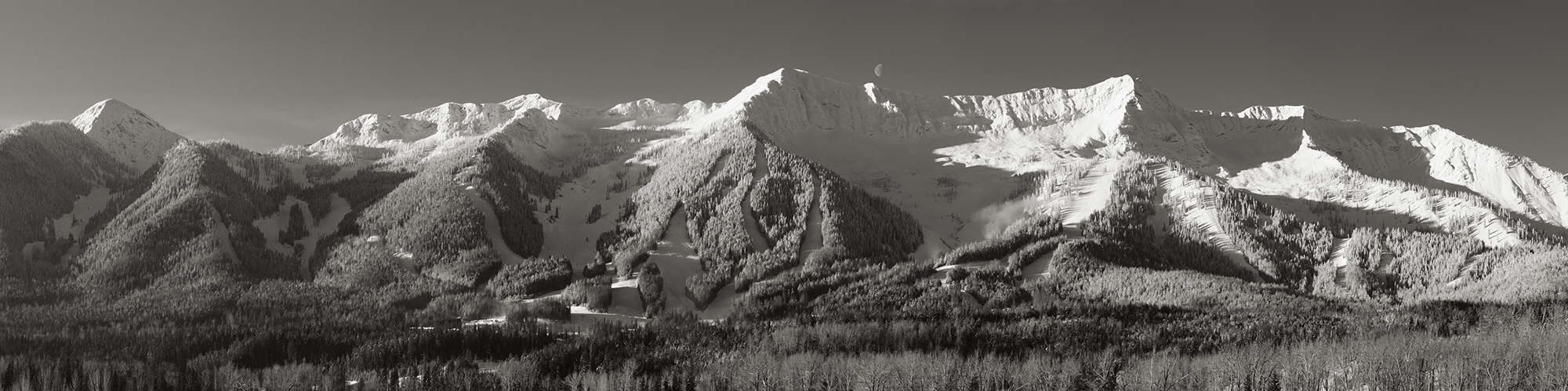 _DSC2202_copy-Panorama-copy_pol_BW-copy